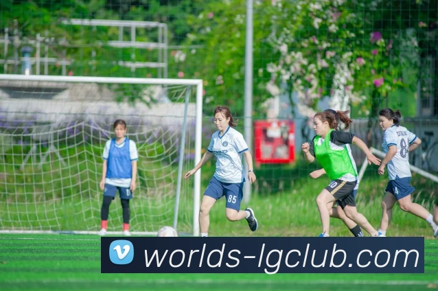 老哥俱乐部官网平台生态图